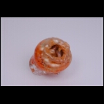 Growing Gold v2 4x5x4 in.jpg